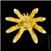 Image 8 : MUNKTIKI IKAKUMORA SPIDER-SQUID YAKIMON SCULPTURE - YELLOW #57.