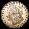 1899 Morgan Silver Dollar LIGHTLY CIRCULATED