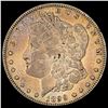 1899 Morgan Silver Dollar LIGHTLY CIRCULATED