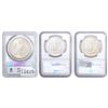 Image 2 : [3]1881-1923 Silver Morgan/Peace Dollars NGC/PCGS MS64/67