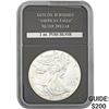 2014 Burnished American Silver Eagle