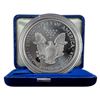 Image 3 : 1995 Silver Eagle