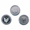 Image 3 : 2006 US Silver Eagle 20th Anniv. Three Coin Set