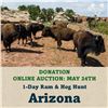 Image 1 : 1-Day Ram & Hog Hunt in Arizona