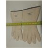 Image 3 : (1) Pair of Large Gloves.