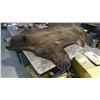 Image 4 : Bear Skin Rug w/ Tag
