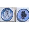 Image 1 : Bradford Exchange Plate "Spirit Of The Wilderness" Collection Limited Edition