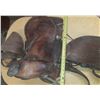 Image 4 : Vintage Horse Saddle.