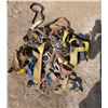 Image 1 : Collection of safety Harnesses and belts