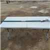 Image 1 : brach trimmer up to 10ft made of fiberglass