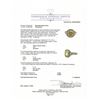 Image 7 : Platinum Fancy Yellow Diamond Ring