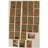Image 2 : A Selection of (27) 1983 Topps Star Wars Return of the Jedi Trading Cards.