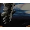Image 2 : A Medical Frigate Collector Plate.