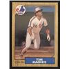 Image 1 : 1987 O-PEE-CHEE TIM RAINES (HOF)