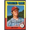 Image 1 : 1975 O-PEE-CHEE JIM KAAT (HOF)
