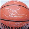 Image 1 : 1995 Miami Heat Team-Signed Spalding NBA Basketball with Display Case & COA