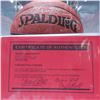 Image 9 : 1995 Miami Heat Team-Signed Spalding NBA Basketball with Display Case & COA