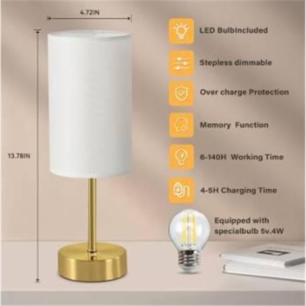 Rechargeable Table Lamp with LED Technology