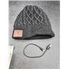 Image 1 : Blueear Wireless Musical Beanie With Bluetooth Functionality