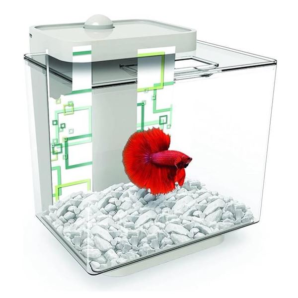 Marina Betta EZ Care Plus Aquarium Kit – White – 5 L
