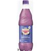Image 1 : Canada Dry Blackberry Ginger Ale 24 x 500 mL Bottles