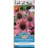Image 1 : Lot of 5 Packs –  Mr. Fothergill’s Echinacea Purpurea Coneflower Seeds