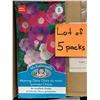 Image 1 : Lot of 5 Packs – Mr. Fothergill’s Morning Glory