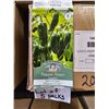 Image 1 : Lot of 5 Packs Mr. Fothergill’s Pepper Jalapeno