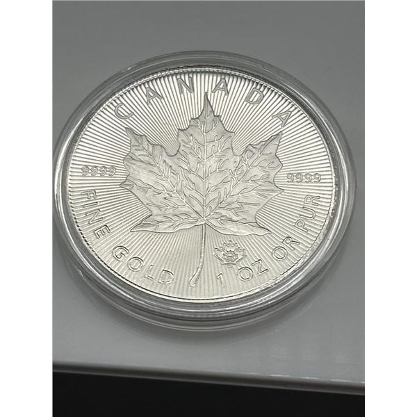 2023 Canadian Maple Leaf 1 oz  Coin-COPY