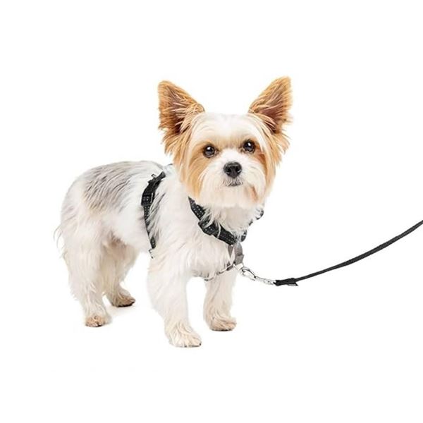PetSafe 3-in-1 Harness, Size Small, Black