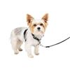 Image 1 : PetSafe 3-in-1 Harness, Size Small, Black