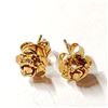 Image 1 : $100 Silver Gold Plated Earrings
