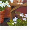 Image 2 : Blue Window by Powell John