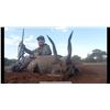 Image 2 : AFRICA MAXIMUM SAFARIS donates 8 days, 2 hunters / 2 non. Wildebeest, Impala, Blesbuck. Val. $17,158