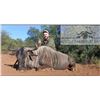 Image 6 : AFRICA MAXIMUM SAFARIS donates 8 days, 2 hunters / 2 non. Wildebeest, Impala, Blesbuck. Val. $17,158