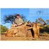 Image 9 : AFRICA MAXIMUM SAFARIS donates 8 days, 2 hunters / 2 non. Wildebeest, Impala, Blesbuck. Val. $17,158