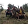 Image 4 : L& L Adventures donates a Texas Trophy Whitetail Hunt for two hunters Valued at $9500