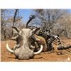 Image 2 : Limcroma Safaris 10-day safari for 2 hunters in the Limpopo Province of South Africa, Val. $14,500