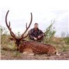 Image 4 : Argentina: "Paco" Pizarro of Anuritay Ranch donates 7-day hunt for two hunters. Value $13,600.