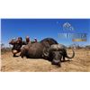 Image 1 : Tom Dreyer Safaris , 7days/ 6 nights for 4 hunters South Africa Val. $21,800