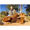 Image 6 : Tom Dreyer Safaris , 7days/ 6 nights for 4 hunters South Africa Val. $21,800