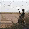 Image 2 : Paco Riestra / Four Day Dove Hunt for four Hunters in Argentina. Value is $2,400 per hunter