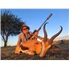 Image 2 : Marupa Safaris 10days, 2 Impala, 2 Wildebeest (8 hunt days) Northern Cape for 2 hunters.Val.$9600
