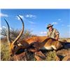 Image 3 : Marupa Safaris 10days, 2 Impala, 2 Wildebeest (8 hunt days) Northern Cape for 2 hunters.Val.$9600