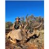 Image 4 : Marupa Safaris 10days, 2 Impala, 2 Wildebeest (8 hunt days) Northern Cape for 2 hunters.Val.$9600