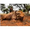 Image 7 : Marupa Safaris 10days, 2 Impala, 2 Wildebeest (8 hunt days) Northern Cape for 2 hunters.Val.$9600