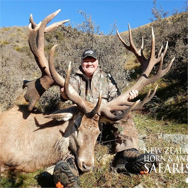 New Zealand 10-Day Red Stag,Bull Tahr, Alpine Chamois Hunt for 2