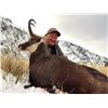 Image 8 : New Zealand 10-Day Red Stag,Bull Tahr, Alpine Chamois Hunt for 2 Hunters Valued at $10,000
