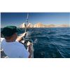 Image 13 : North Florida Chapter presents Los Cabos Sport Fishing 4 nights for 2 anglers.