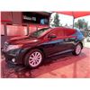 Image 1 : 2009 TOYOTA VENZA